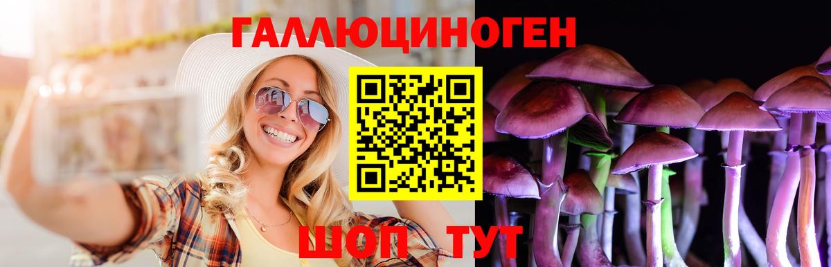 Галлюциногенные грибы Psilocybe  Псилоцибиновые грибы Psilocybine cubensis  Химки  Вход с VPN 
